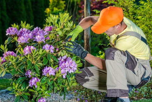 Logo or banner for hedge trimming services in Stratford