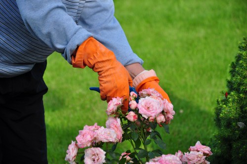 Operatives wearing PPE and managing a safe hedge cutting operation