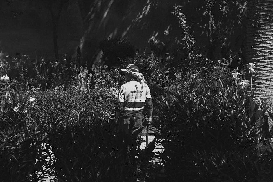 A gardener in casual clothing, including a beige sweater and dark trousers, is bending over a wheelbarrow filled with long, green leafy plants, actively tending to the garden. The setting appears to b
