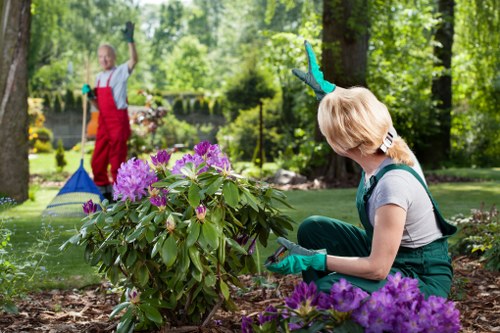 A woman wearing teal gardening gloves and casual clothing is kneeling beside a flowering shrub with large, purple blossoms in a well-maintained garden, surrounded by lush green trees and grass. She is focused on the plant, possibly trimming or inspecting it, with her back slightly turned. In the background, a smiling girl dressed in a red apron and grey top is raking leaves near the edge of a pond or water feature, also within the garden landscape. The garden features a combination of vibrant flowering plants, neatly edged lawn, and mature trees, creating a peaceful outdoor space typical of Stratford's residential outdoor environments. Bright daylight and clear weather illuminate the scene, highlighting the natural tones and textures of the garden elements. This setting exemplifies professional gardening and hedge trimming services, such as those offered by Hedge Trimming Stratford, to maintain and enhance gardens in the Stratford area with healthy, well-shaped plants and tidy outdoor spaces.
